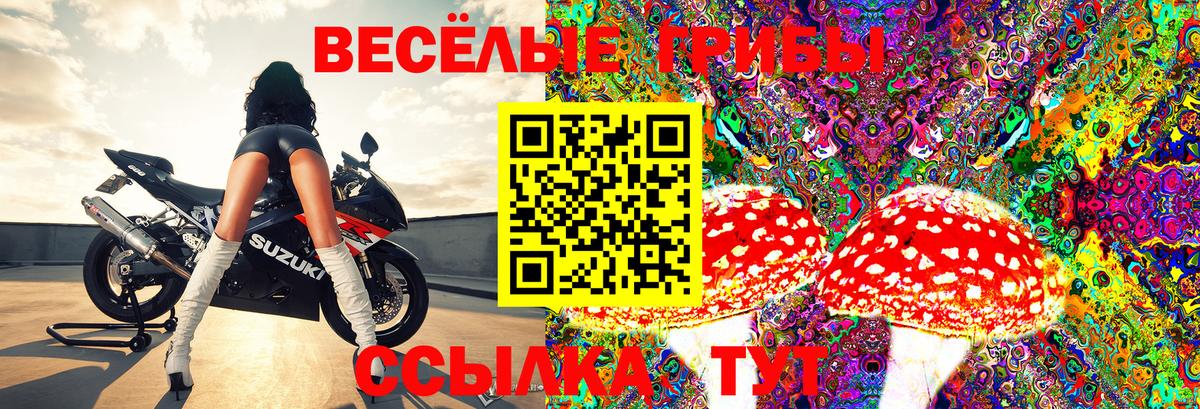 Дзержинский  Галлюциногенные грибы Psilocybe  закладка  Вход с VPN 